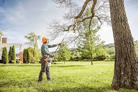 Best Hedge Trimming  in Kiryas Joel, NY